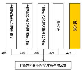 上海舜元背景及实力介绍