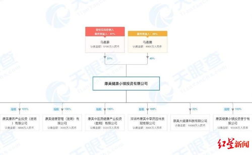 红星资本局 造假王 康美药业实控人被抓,保荐机构广发证券被重罚 马兴田最值钱资产已转至子女名下